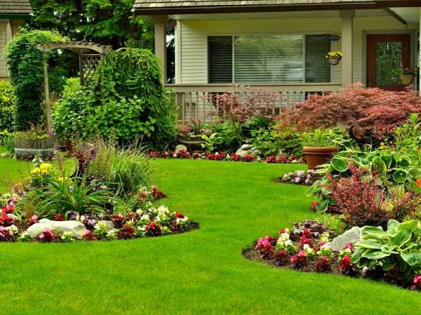 7 Types of Plant Covers All Home Gardeners Should Know