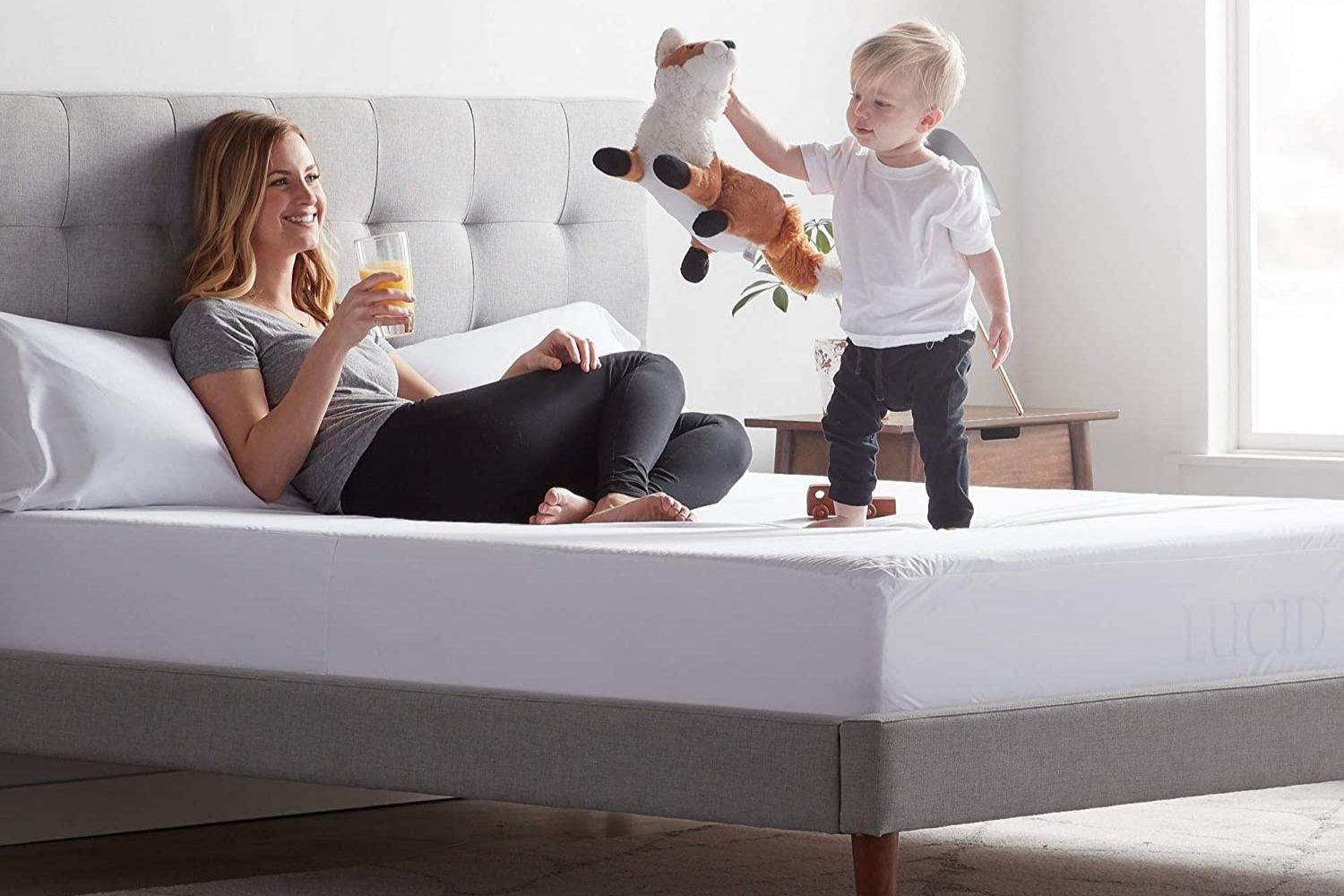 The Best Bed Bug Mattress Cover Options