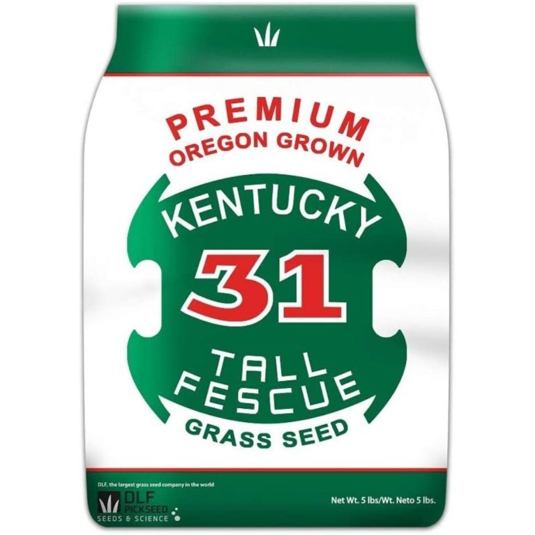  The Best Grass For Sandy Soil Option: DLF Premium Oregon Grown Kentucky 31 Tall Fescue