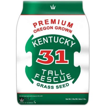 The Best Grass For Sandy Soil Option: DLF Premium Oregon Grown Kentucky 31 Tall Fescue