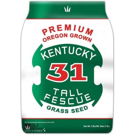 DLF Premium Oregon Grown Kentucky 31 Tall Fescue 