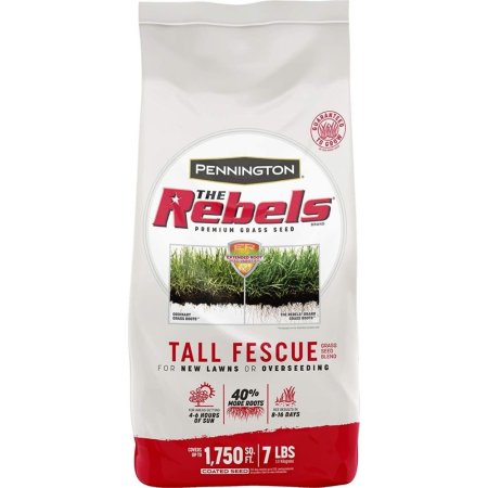  The Best Grass For Sandy Soil Option: Pennington The Rebels Tall Fescue Grass Seed Blend