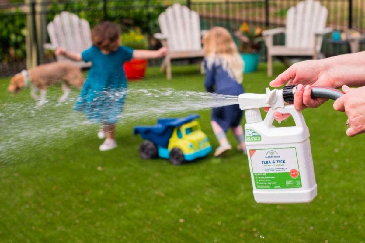 The Best Tick Spray For Yard Option