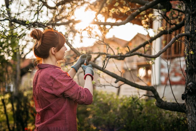 25 Ways to Enjoy Your Garden This Winter