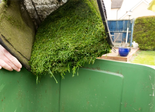 what to do with grass clippings