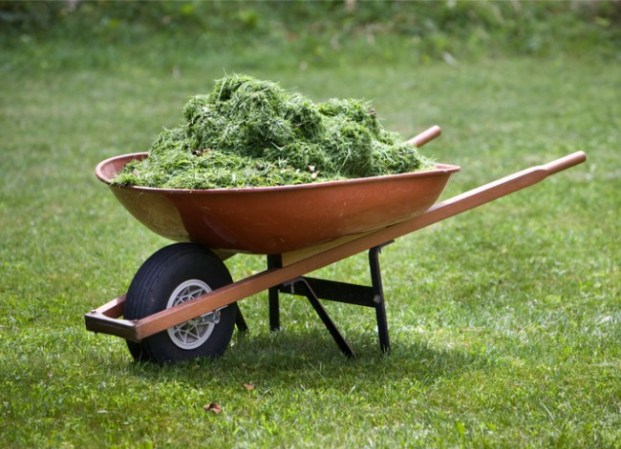 Mulching Leaves: Why Mowing Leaves is Better Than Raking Them