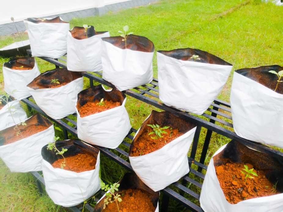 Grow Bag Gardening: Pros and Cons, and How to Get Started - Bob Vila