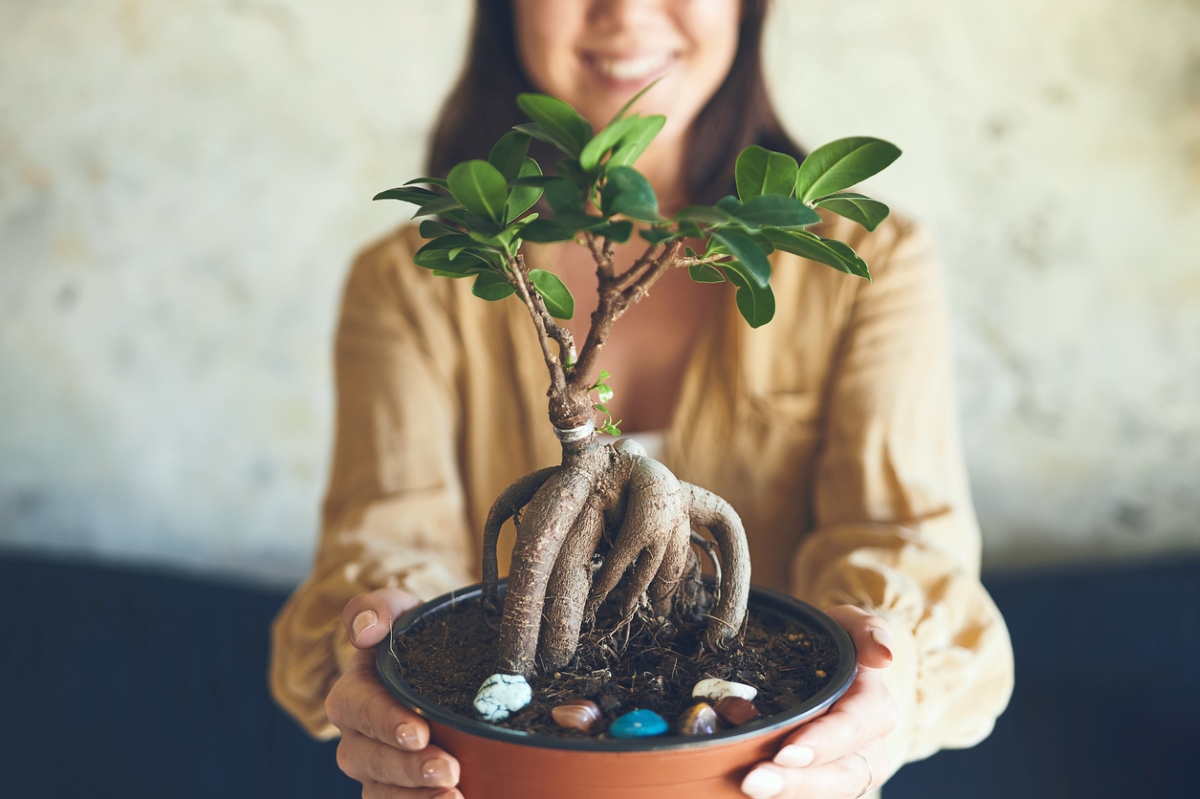 Woman holding bonsai plant.