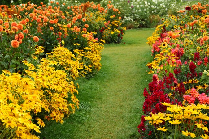 Large flower garden in summer