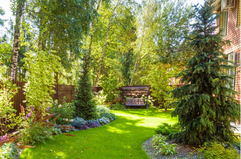 landscaping-in-green-home-garden-landscape-design-with-plants-and-at-picture-id1196211272