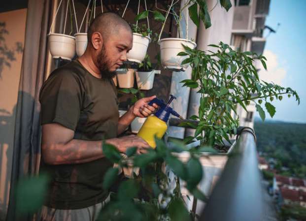 10 Low-Maintenance Houseplants to Keep Indoor Air Fresh