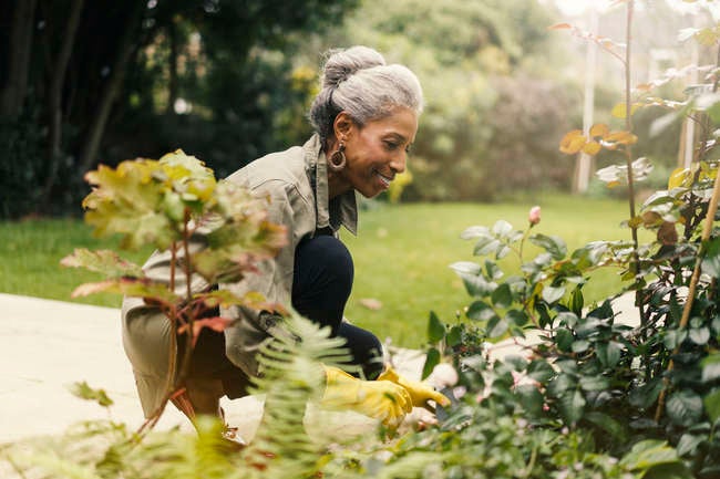 10 In-Season Gardening Chores You Should Be Doing Every Week