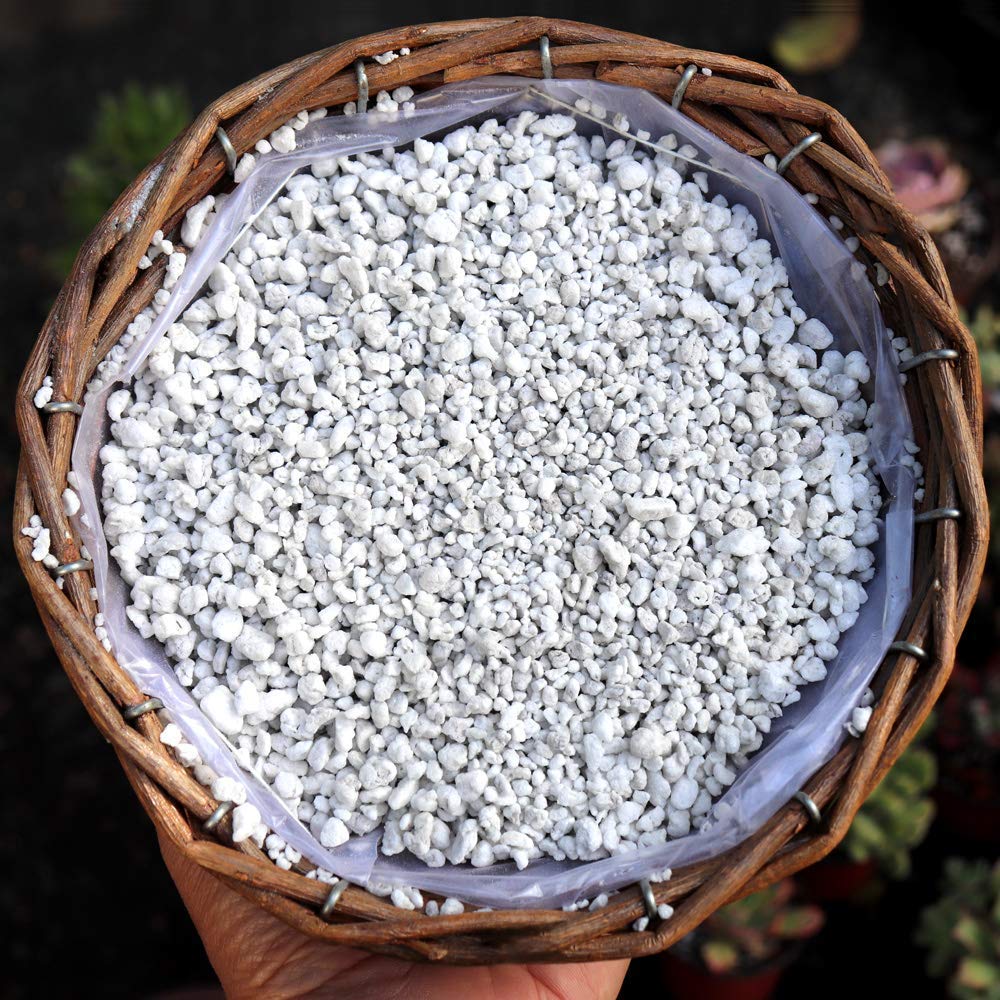 Close up of Organic Perlite for All Plants