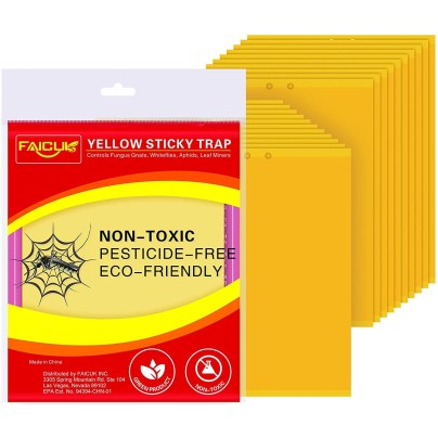 Best Gnat Trap Option: Faicuk 20-Pack Dual-Sided Yellow Sticky Traps