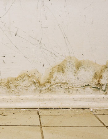 Does Homeowners Insurance Cover Mold Flood Insurance