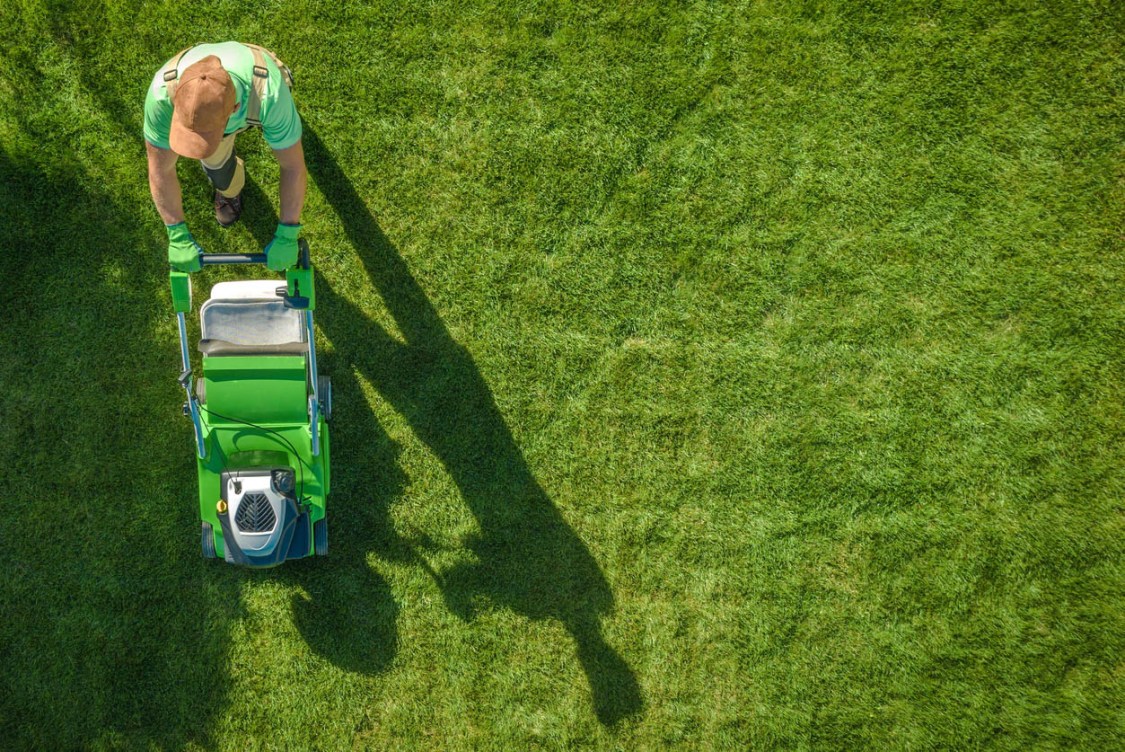 How Much Does Lawn Care Cost? - Bob Vila