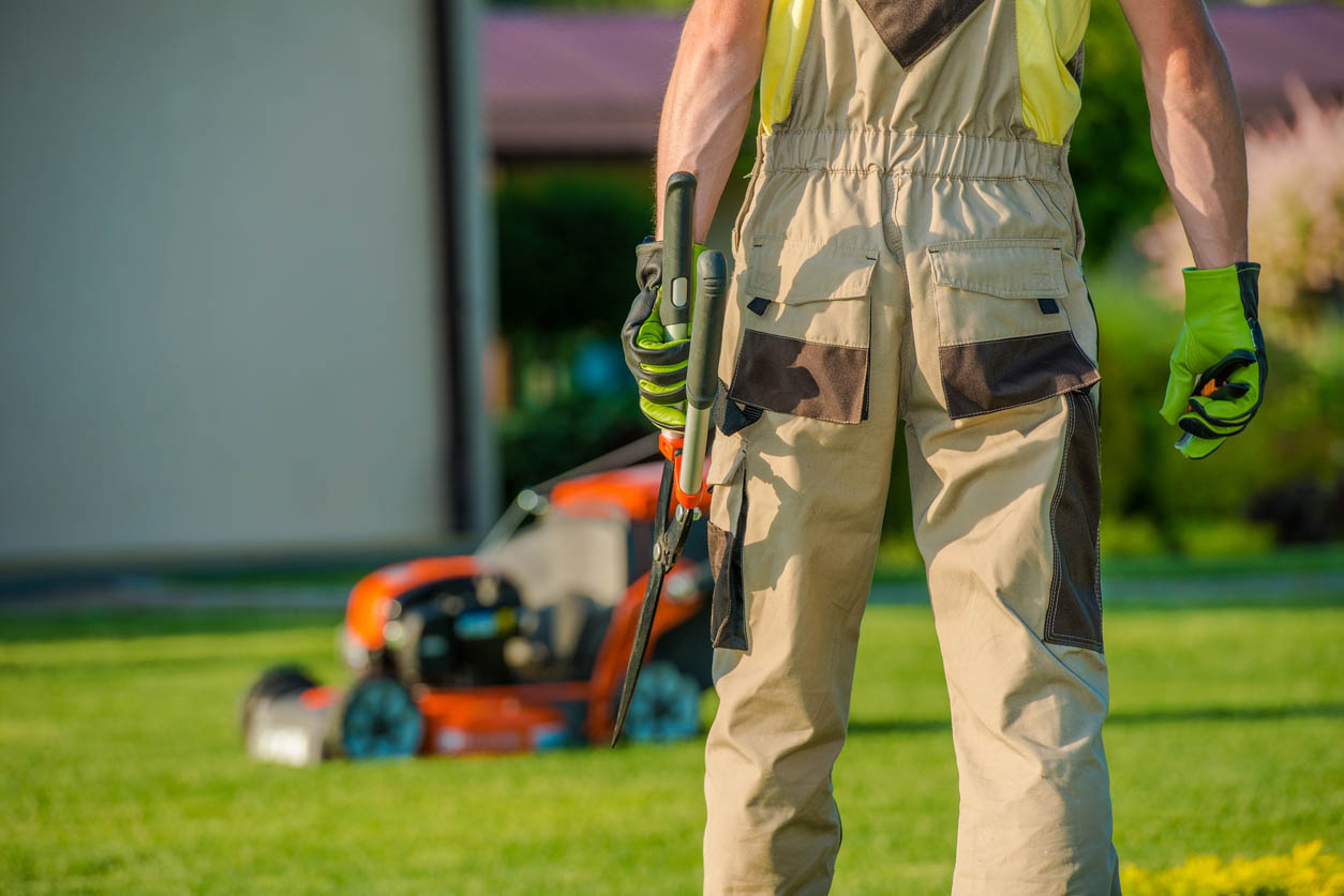 Lawn Mowing Service Near Me Questions to Ask