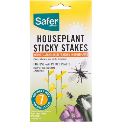 The Best Gnat Trap Option: Safer Brand Houseplant Sticky Stake Insect Traps