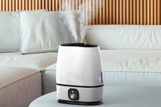 The Best Whole-House Dehumidifiers