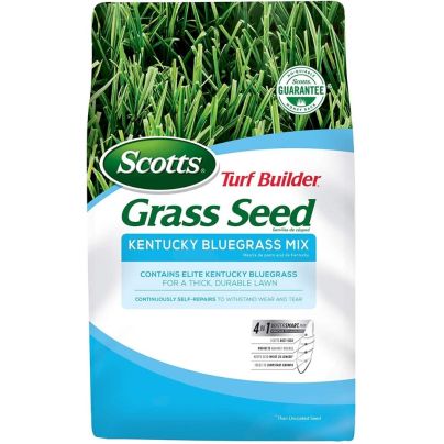 The Best Kentucky Bluegrass Seed Option: Scotts Turf Builder Grass Seed Kentucky Bluegrass Mix