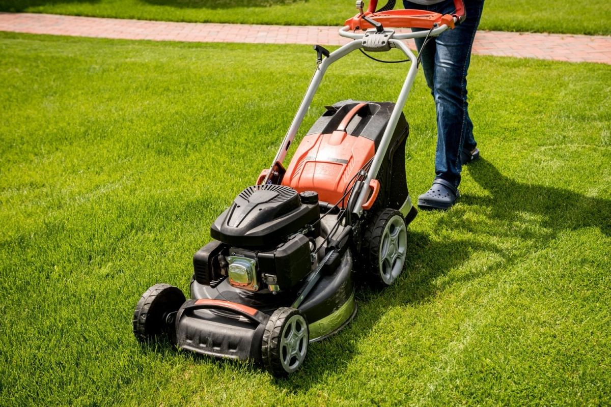 The Best Oil For Lawn Mower Options
