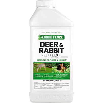 The Best Rabbit Repellent Option: Liquid Fence Deer & Rabbit Repellent Concentrate