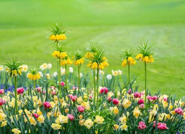 8 Pretty Plants That Stink! - Bob Vila