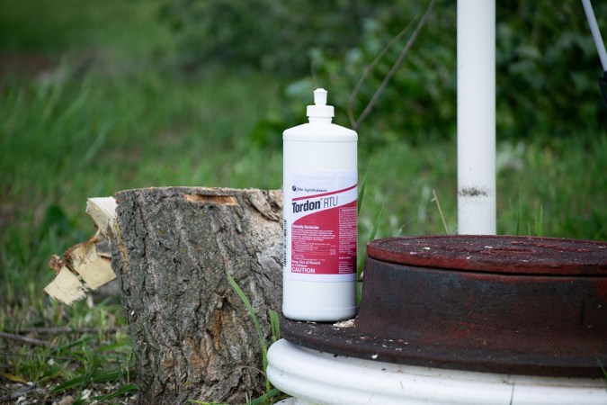 I Used This Tree Control Herbicide to Kill a Stump—Did It Work?