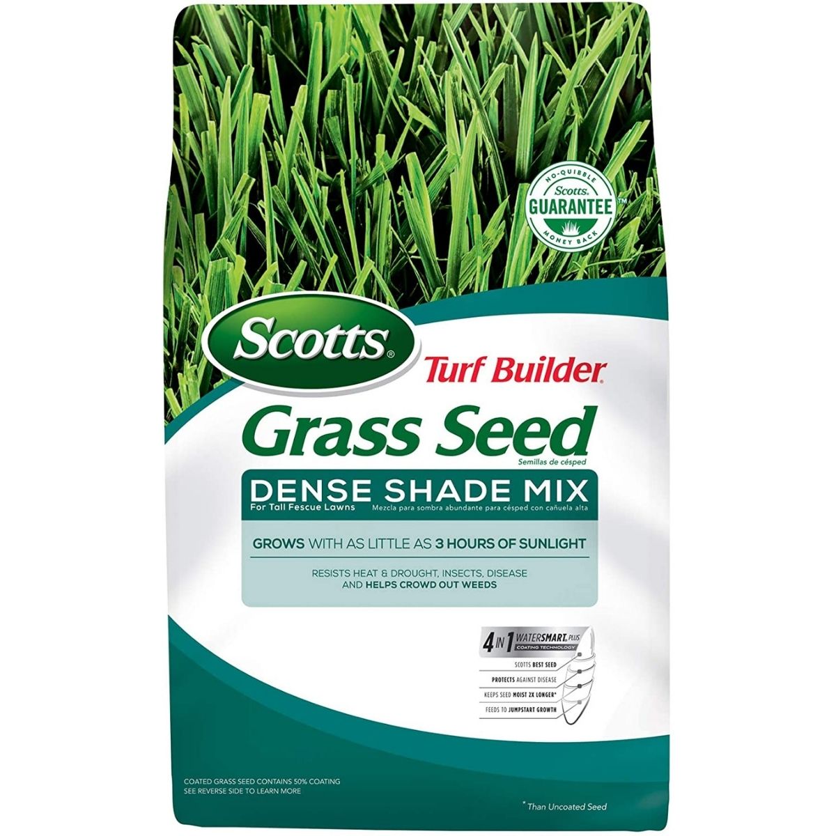The Best Tall Fescue Grass Seeds for a Lawn That Will Turn Heads - Bob Vila