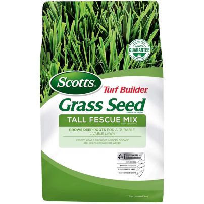 The Best Tall Fescue Grass Seed Option: Scotts Turf Builder Grass Seed Tall Fescue Mix 7 lb.
