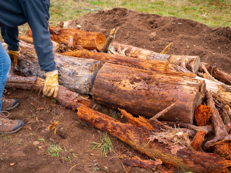 7 Things To Know About Hugelkultur Gardening