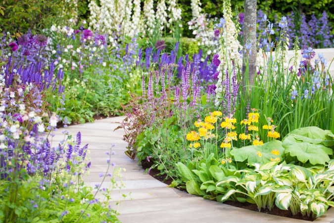 25 Shade-Loving Plants for Where the Sun Don’t Shine