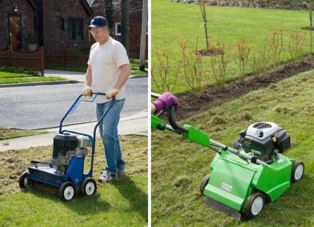 Power Rake vs. Dethatcher: What’s the Difference?