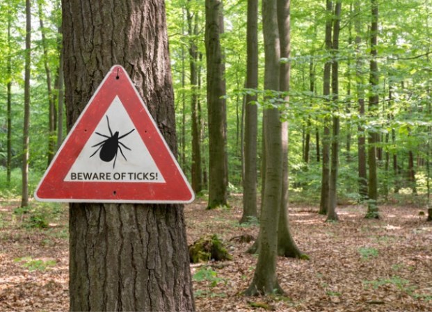 Scientists Predict a Terrible Tick Season—Here's What You Should Do