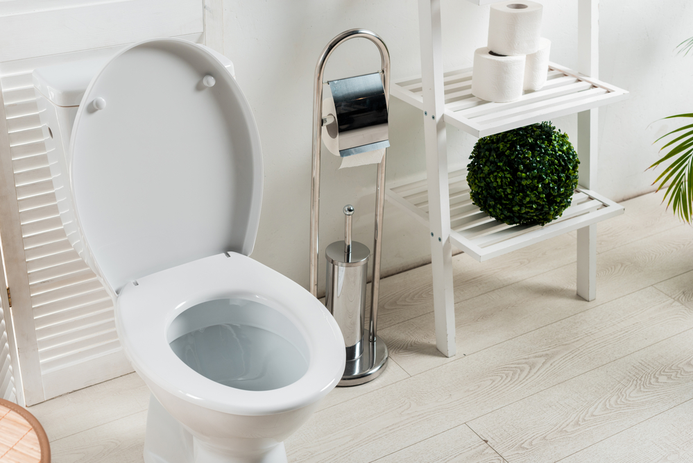 Best Toilet Paper For Septic Options