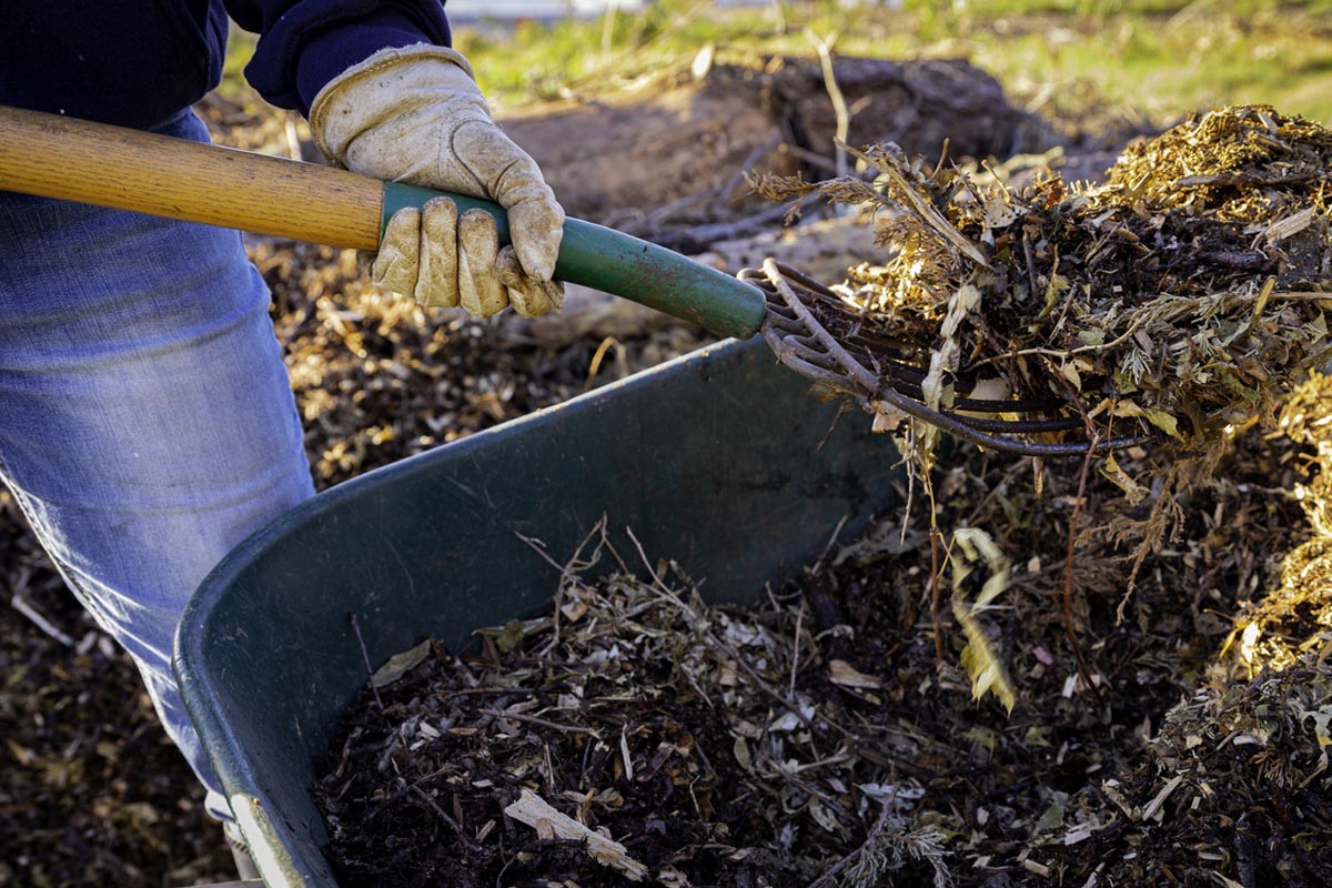 How Much Is a Yard of Mulch DIY vs. Hiring a Professional