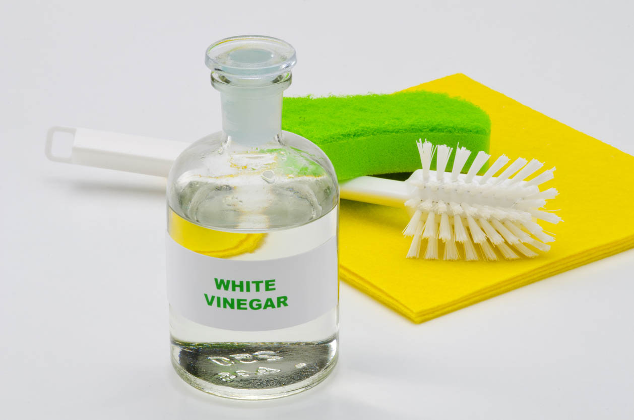 How To Get Rid Of Cat Pee Smell Mix Vinegar