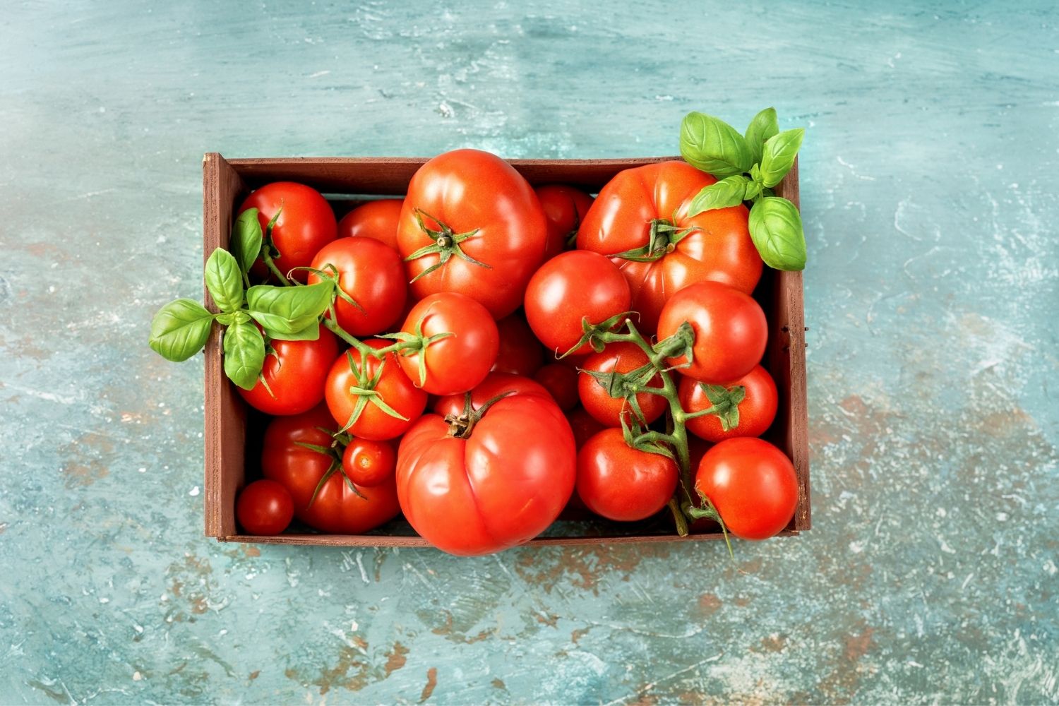 How to Store Tomatoes