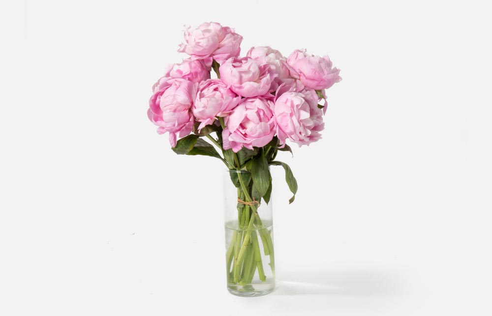 The Best Places to Buy Flowers Option UrbanStems