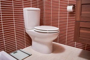 Leaking Toilet Tank? Here's How to Fix It