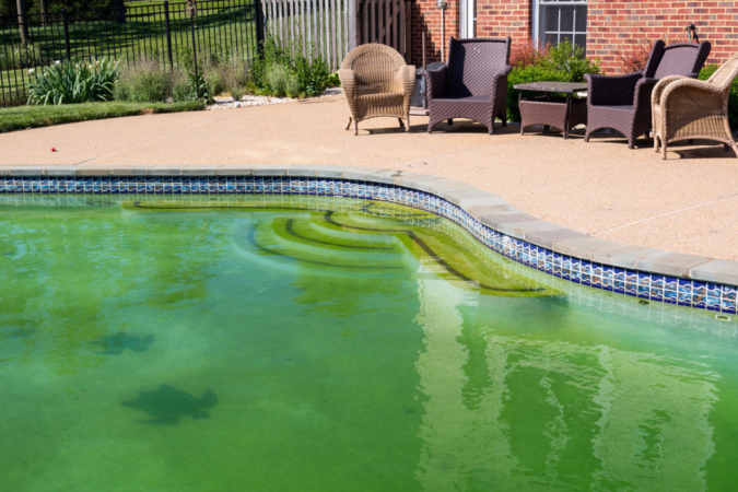 Solved! Why Is My Pool Green?