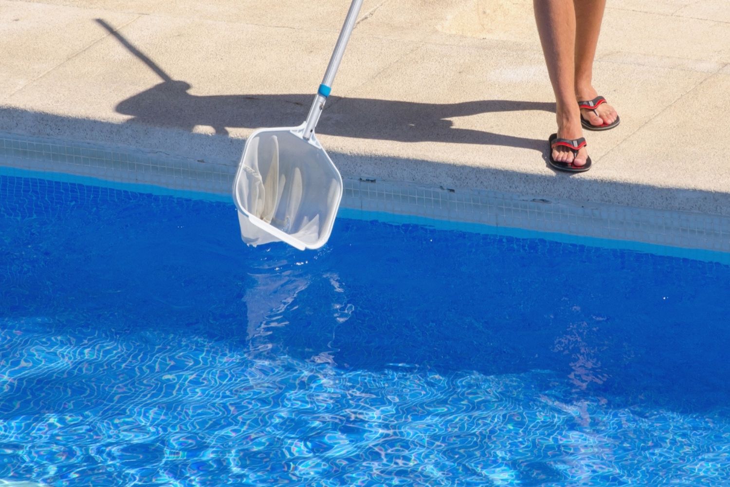 The Best Pool Supplies Options