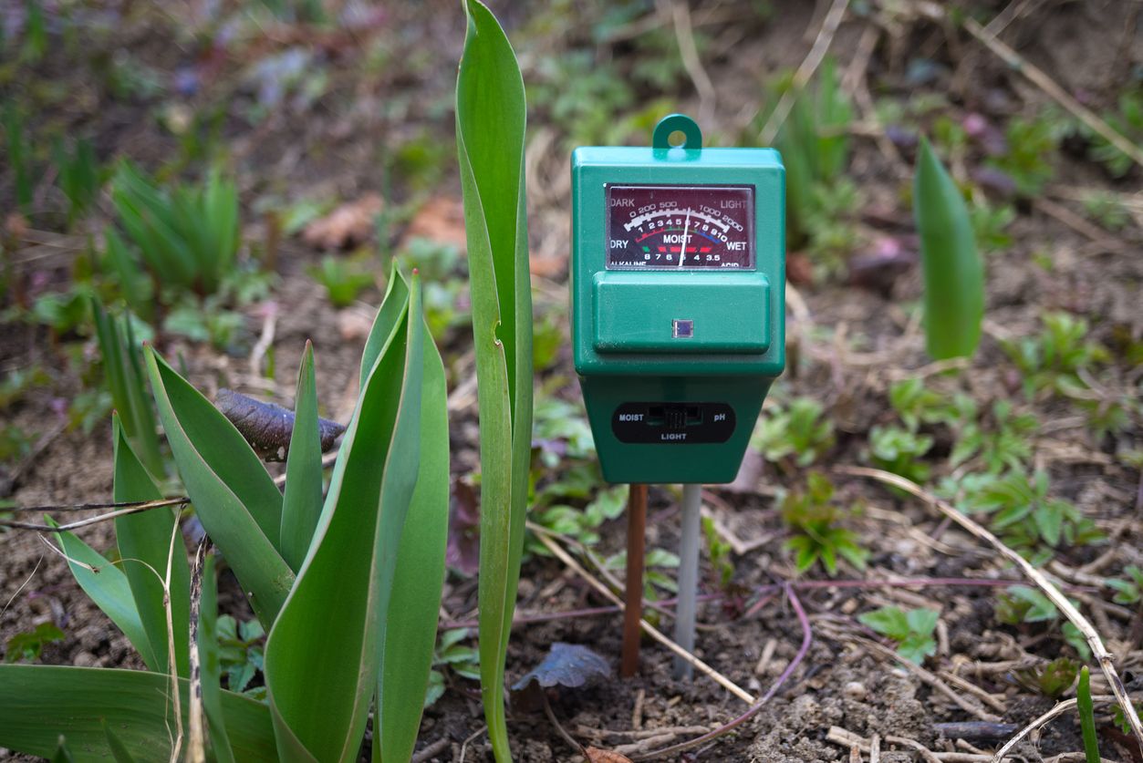 Soil test device stuck into a patch of garden.