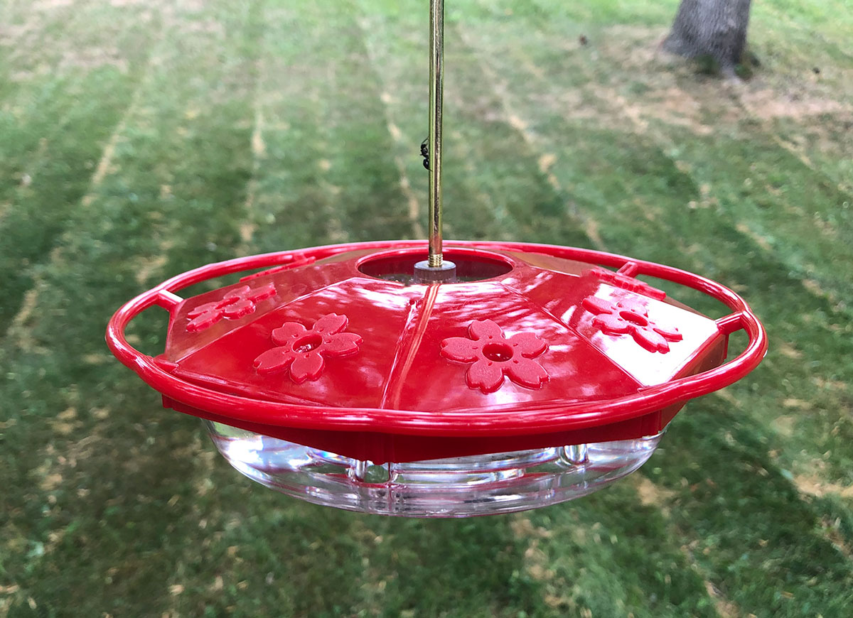 how to keep ants out of hummingbird feeder