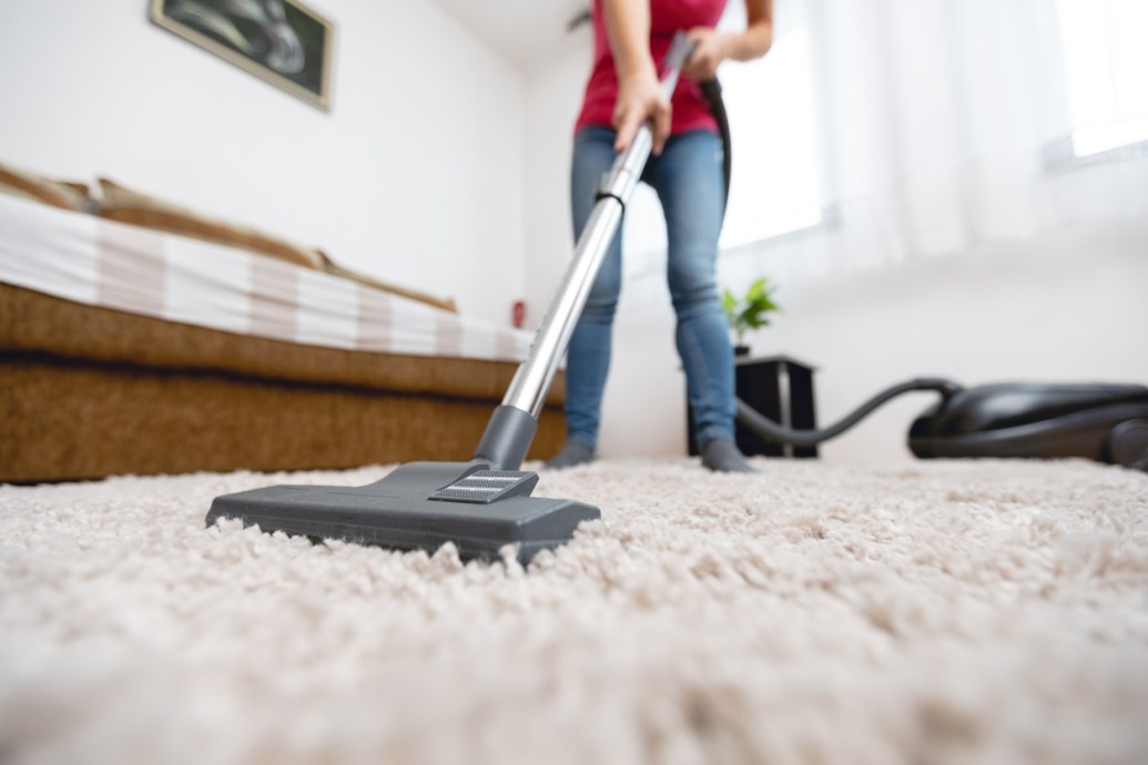 How to Kill Fleas in Carpets and Rugs