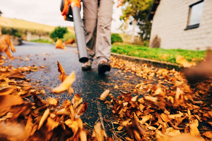 What Is Leaf Mold and How to Use It in Your Home Landscape