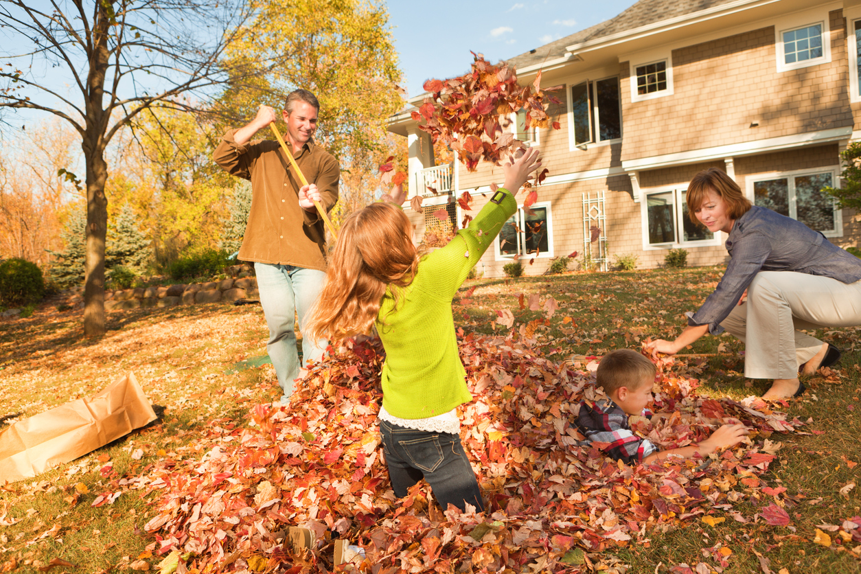 A family raking fall leaves outdoors together, working as a team in their home back yard. Children, a boy and girl, provide assistance, helping parents rake and bag. A residential building, their house, is in the background. The happy group conveys teamwork and togetherness as they complete autumn yard work chores.
