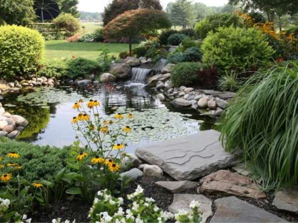 9 Relaxing Pond Waterfall Ideas for Your Backyard