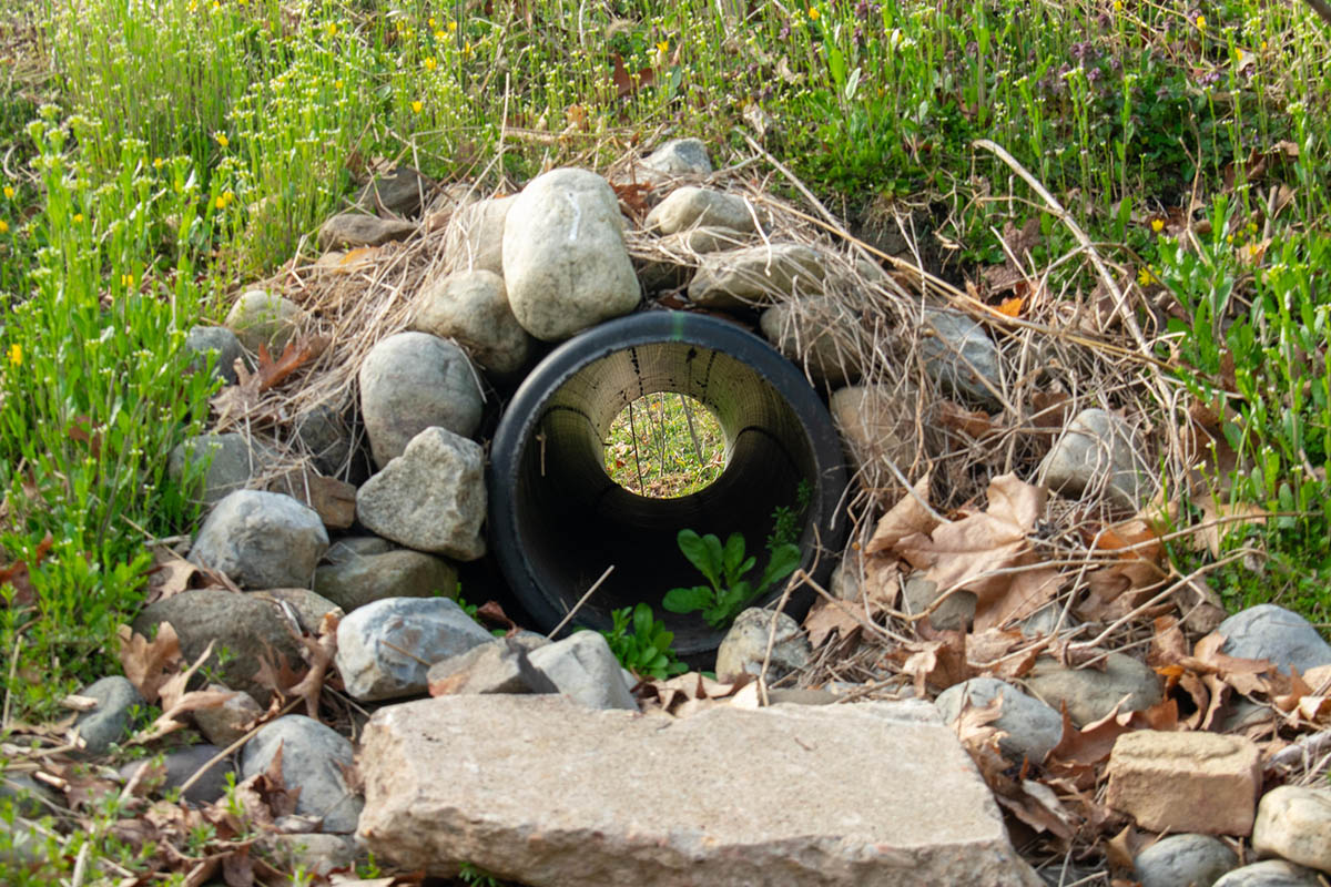 French Drain Cost