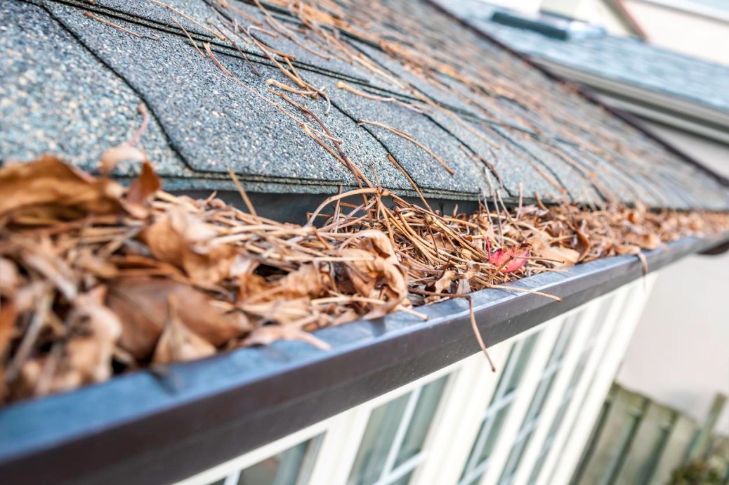 How Much Does Gutter Cleaning Cost? (2026) - HomeGuide